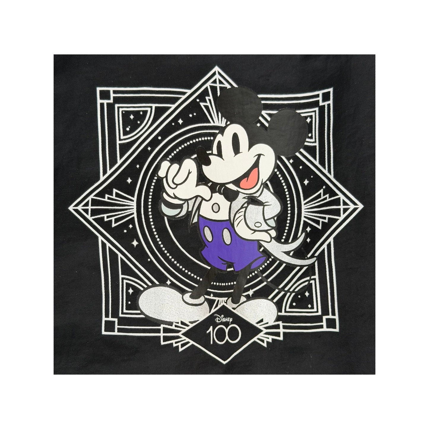 Disney 100 Year Windbreaker Jacket Mickey & Friends Full Zip Lined Adult S
